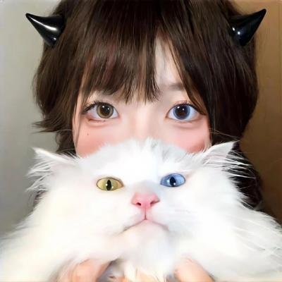 托托的色彩美学观